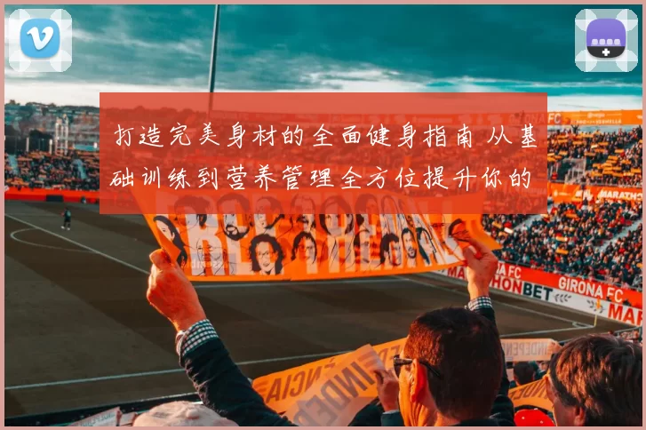 打造完美身材的全面健身指南 从基础训练到营养管理全方位提升你的健康水平