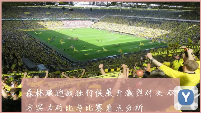 森林狼迎战独行侠展开激烈对决 双方实力对比与比赛看点分析