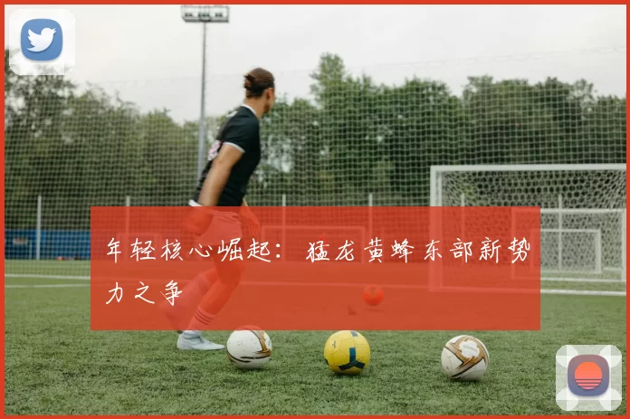 年轻核心崛起：猛龙黄蜂东部新势力之争