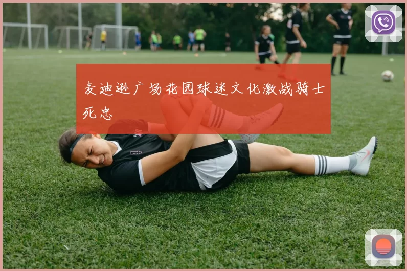 麦迪逊广场花园球迷文化激战骑士死忠