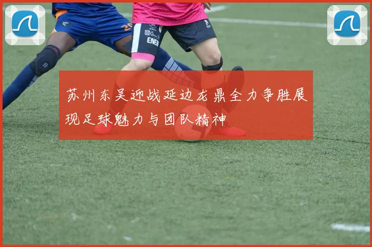 苏州东吴迎战延边龙鼎全力争胜展现足球魅力与团队精神