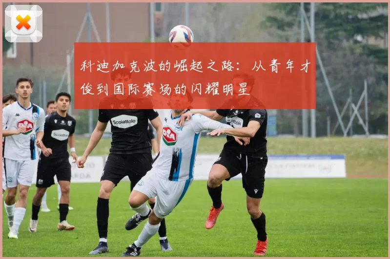 科迪加克波的崛起之路：从青年才俊到国际赛场的闪耀明星